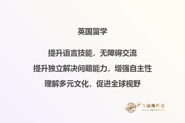 一排书