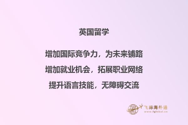 一排书