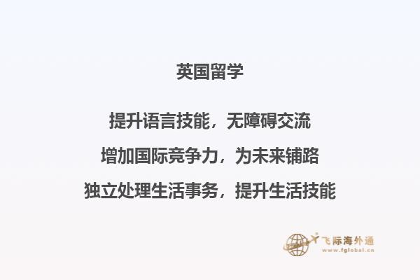 小熊和一本书