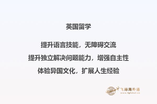 看电脑