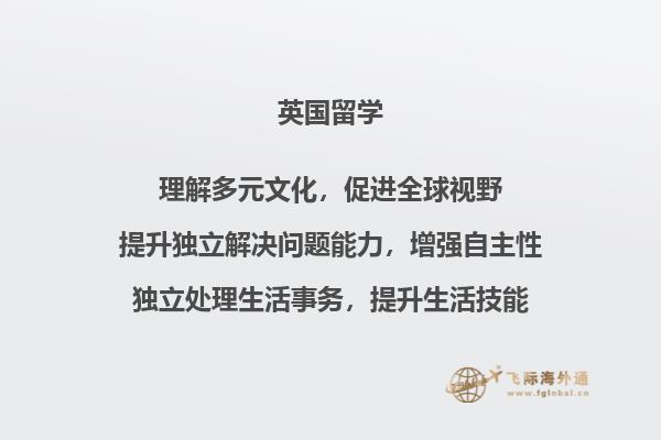 看电脑