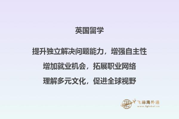 一排书