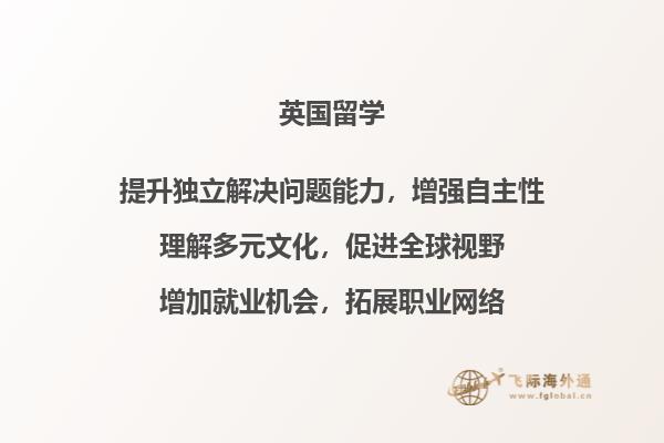 看电脑