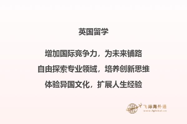 看电脑