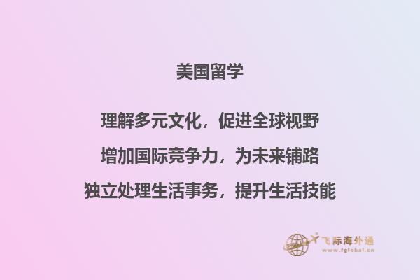 一只猫