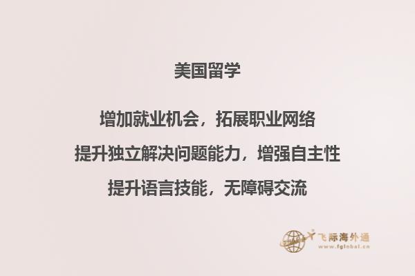 一排书