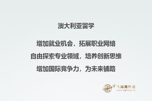 一排书