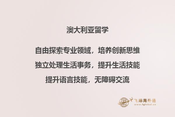 一排书