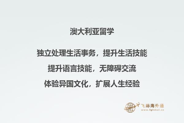 一个本子