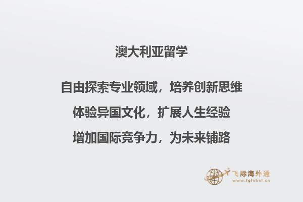 一排书
