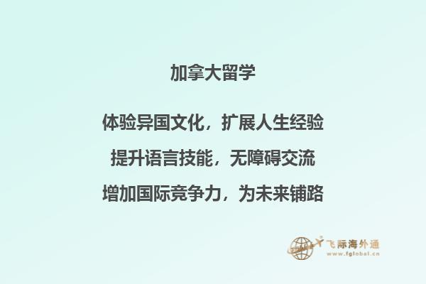 书本
