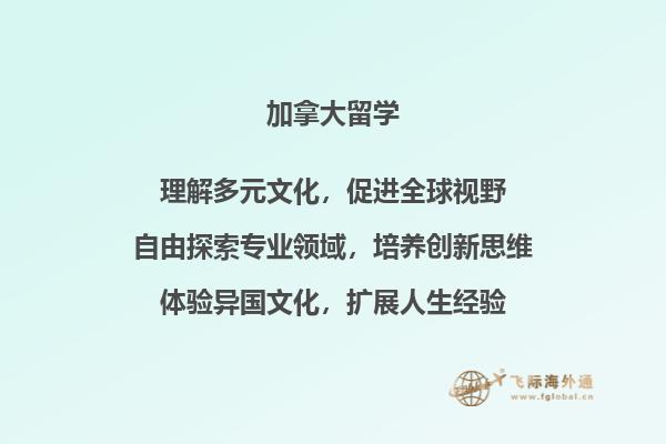 一摞书