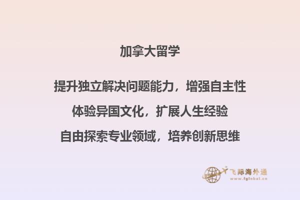 电脑