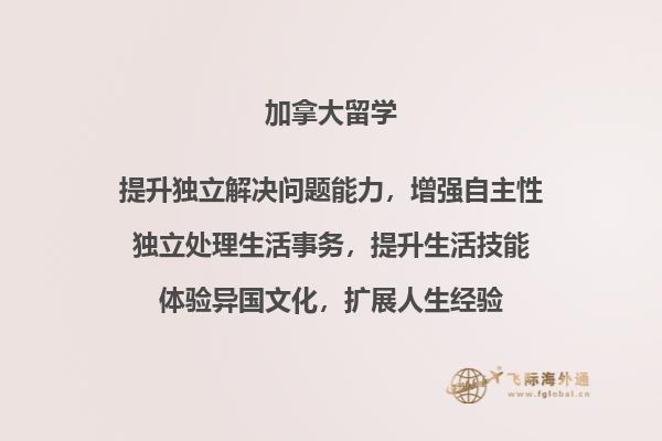 电脑