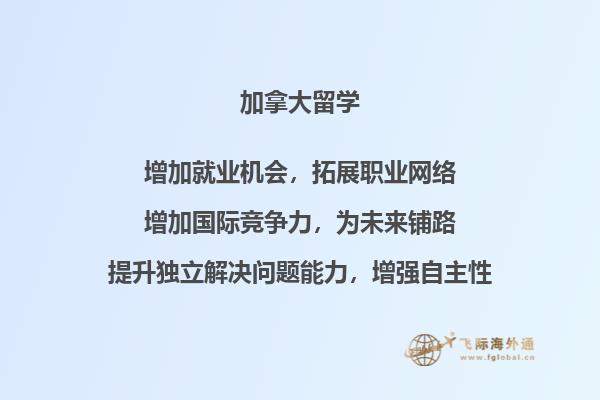 一只猫