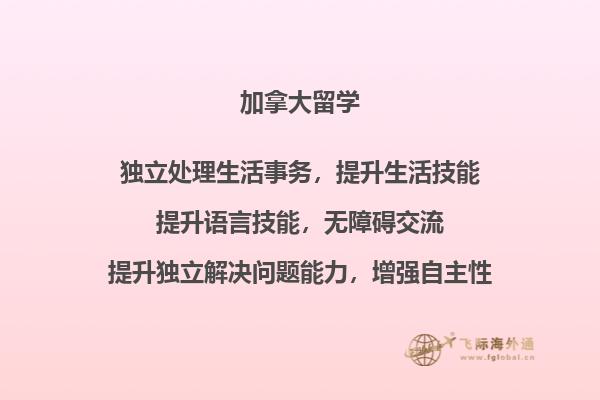 笔记本