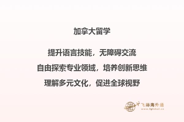 书本