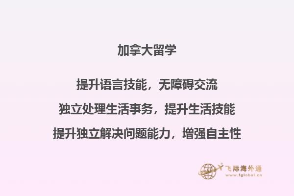 书本