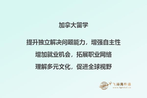 看电脑