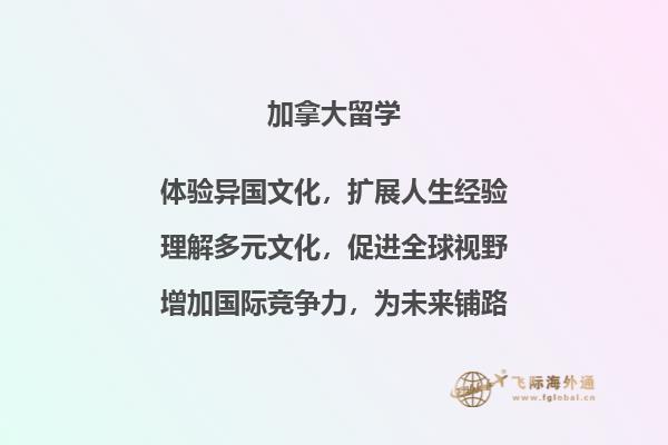 画纸