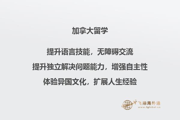书本