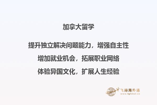 书本