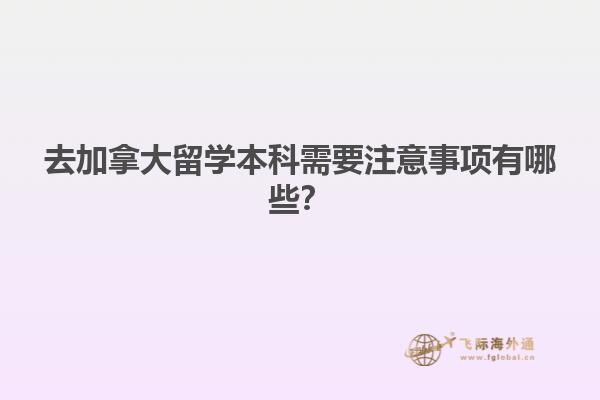 一排书