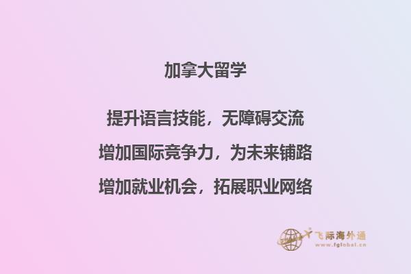 电脑