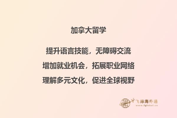 电脑