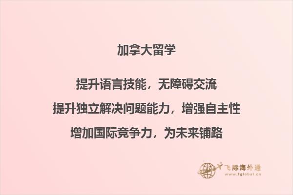 书本