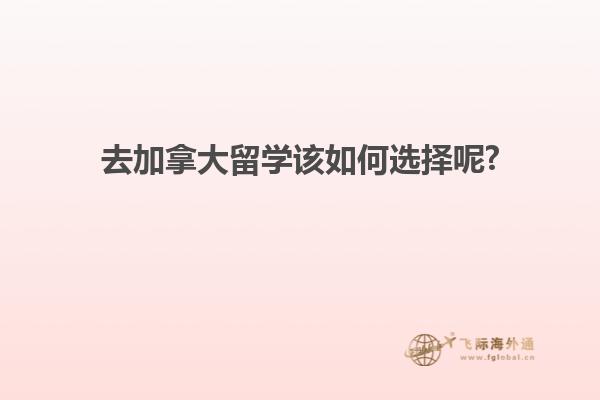 书本