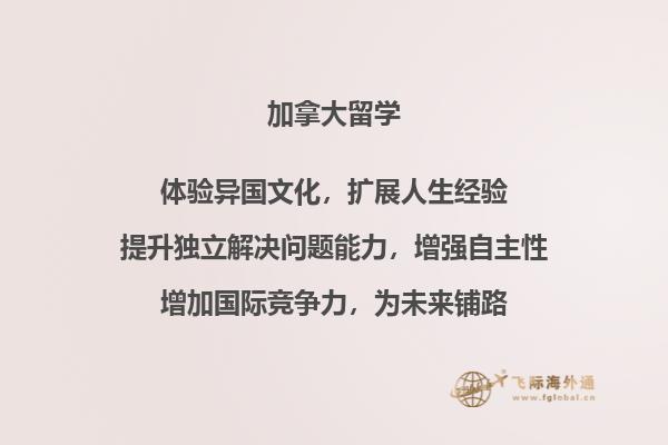 书本