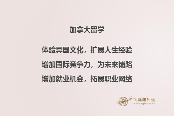 电脑