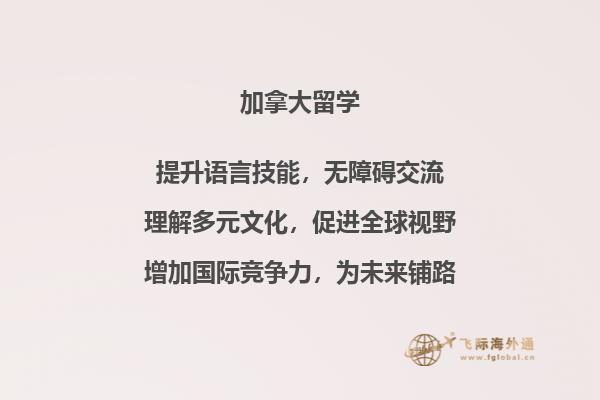 书本