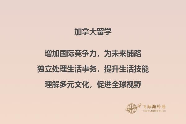 电脑