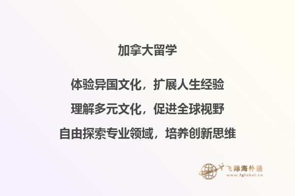 电脑