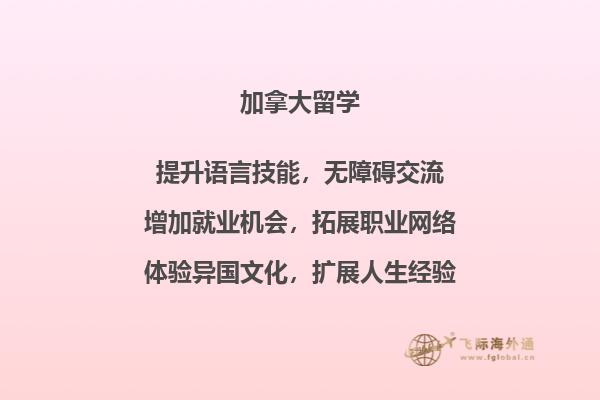 书本