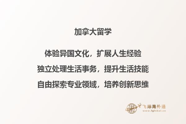 楼梯