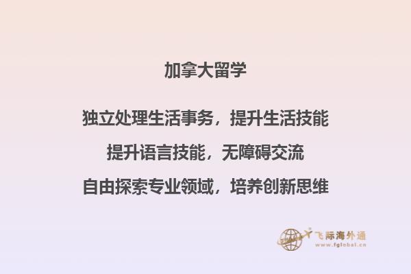 书本