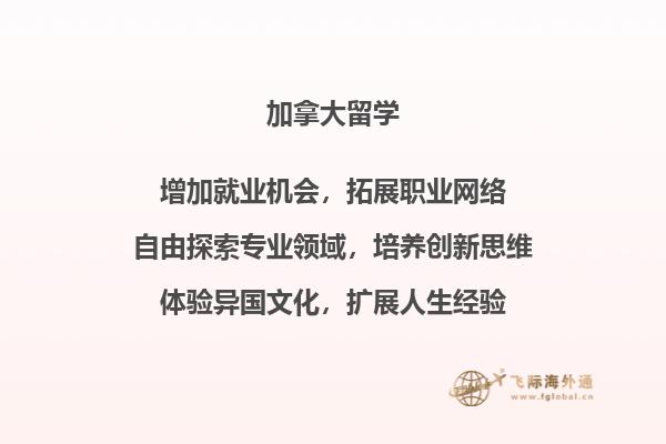 书本
