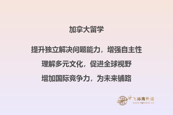 书本