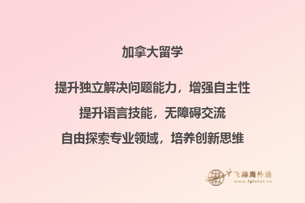 电脑