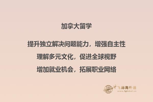 手机