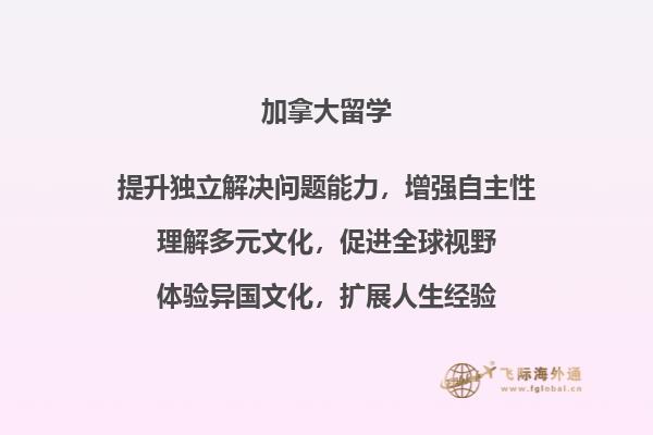 书本