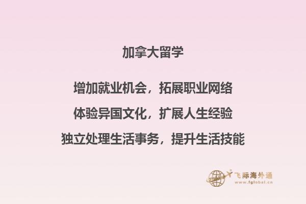 书本
