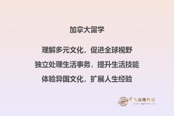 电脑