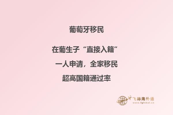 葡萄牙非盈利项目.jpg