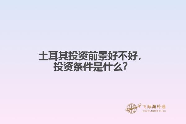 土耳其投资前景好不好，投资条件是什么？