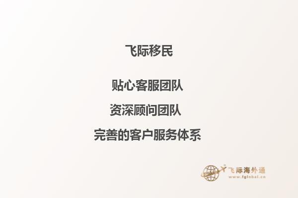 土耳其移民的真实感受怎么样？自行车道状况堪忧！2.jpg