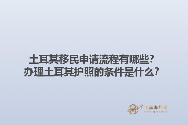土耳其移民申请流程有哪些？办理土耳其护照的条件是什么？1.jpg